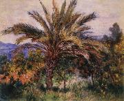 Claude Monet, A Palm Tree at Bordighera